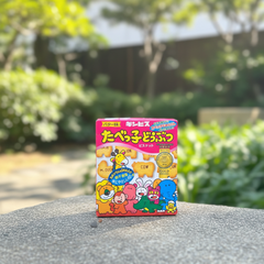 Japanese Montoile Mandarin Orange Gummy - Japanbasket Box Edition