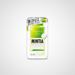 Traditional Japanese Mintia Breeze Lemon Lime Dress | Japanbasket Box Packaging